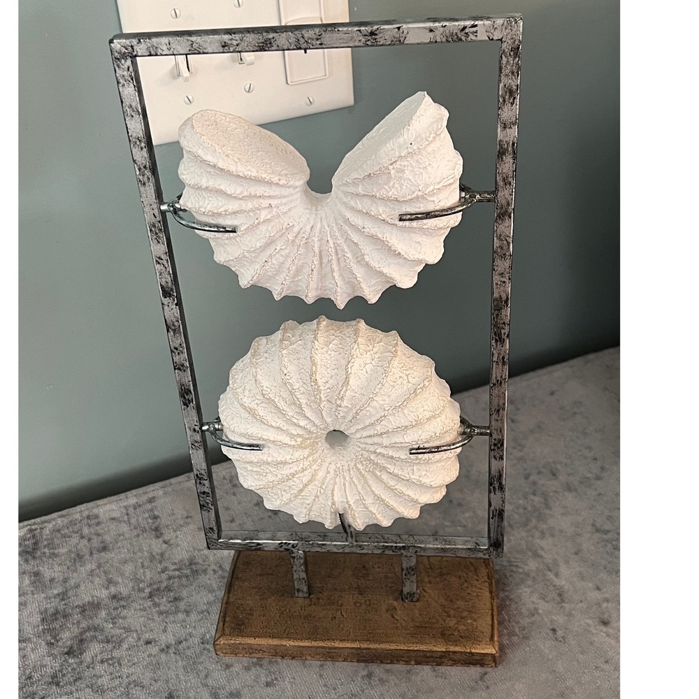 Ashland Modern Coast Sea Shell Tabletop Decor Metal Frame Wood Base Sculpture
